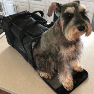 Pet carrier, for travel in plane, train or...